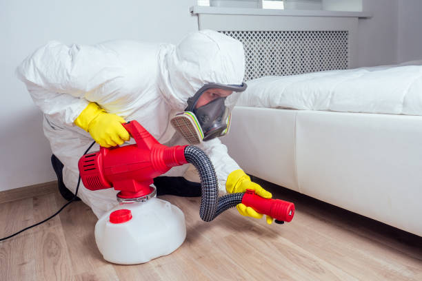 Best Real Estate Pest Inspections  in Point, TX